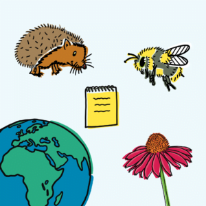 illustraties art studio jet - voorbeelden